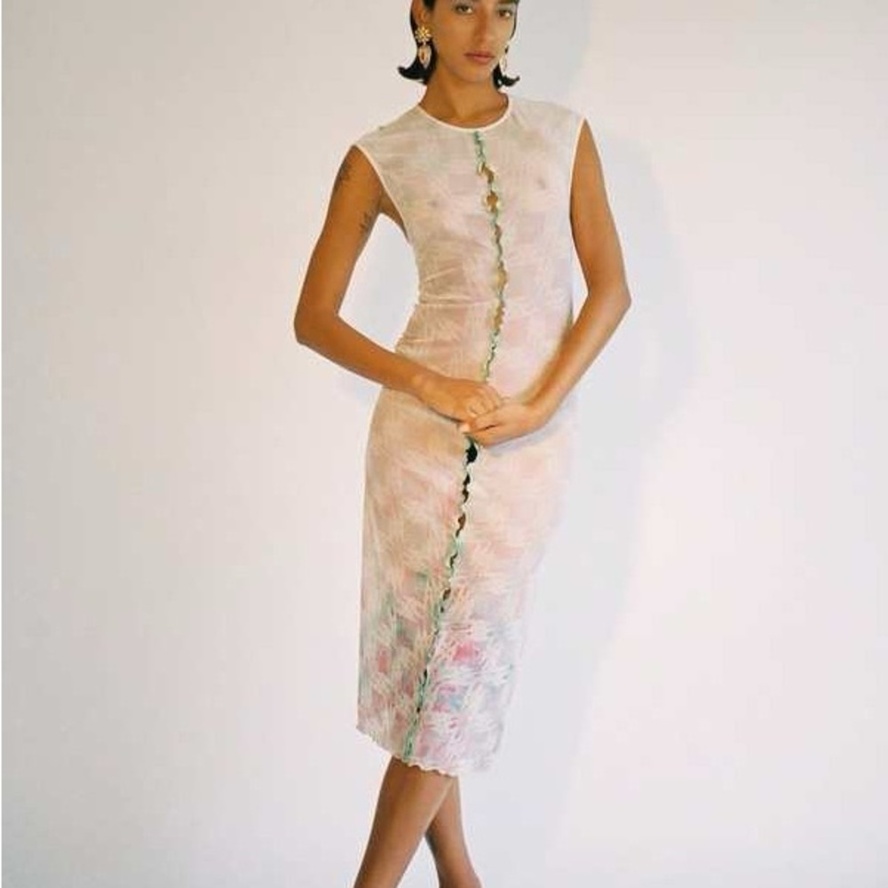 Garmentory Rui Printed Mesh Dress Size Medium